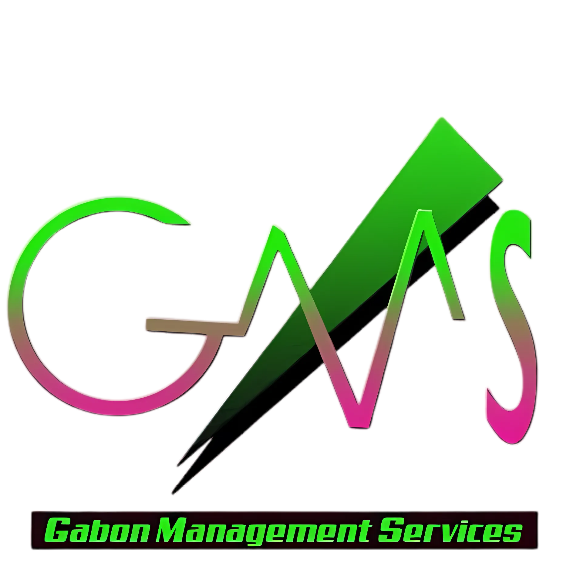 Gabon Management Services